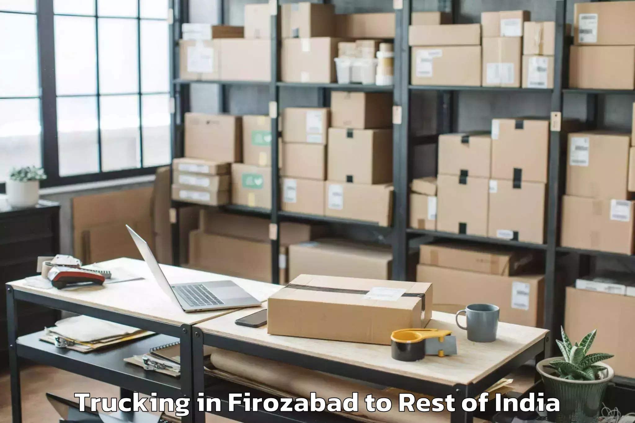 Book Firozabad to Manda Trucking